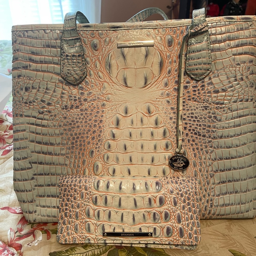 Brahmin Satchel purse in light green with Addy wallet.